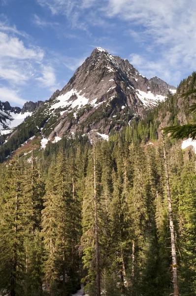 Fire Road Overlooks Sperry Peak North Cascade Mountain Range — Stock Photo, Image