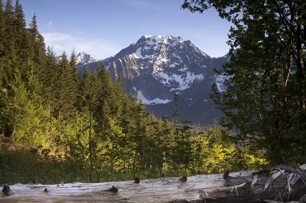 Strada del fuoco si affaccia Big Four Peak North Cascades Mountain Range — Foto Stock