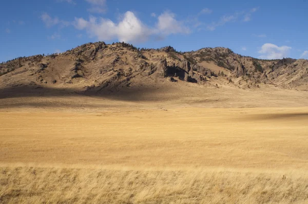 ภูมิทัศน์ที่สวยงาม สหรัฐอเมริกาตะวันตก ไอดาโฮ หญ้าที่ดิน — ภาพถ่ายสต็อก
