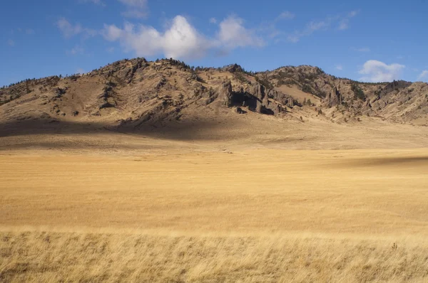 Prachtige landschap westelijke Verenigde Staten idaho grasland — Stockfoto