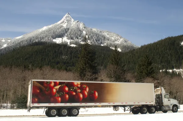 LKW transportiert Lebensmittel über Straße durch Nordkaskaden Washingtons — Stockfoto