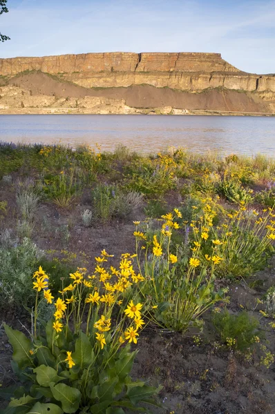 Květy kolem břehu jezera parník rock stát park — Stock fotografie