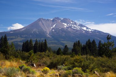 sıcak yaz günlerinin Kaliforniya taban mount shasta cascade dağ ot