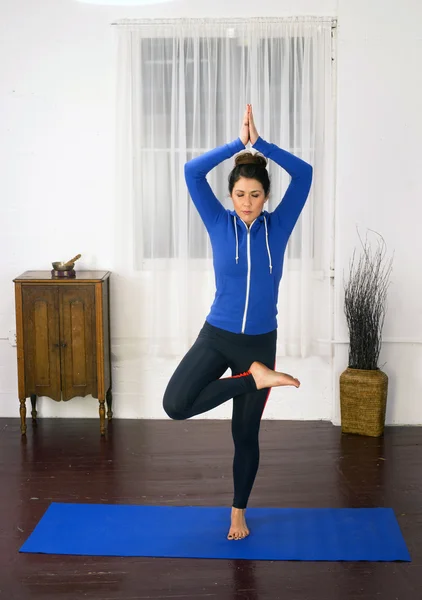 Joven atractiva mujer se para árbol Pose Blue Mat Yoga Dance Studio — Foto de Stock