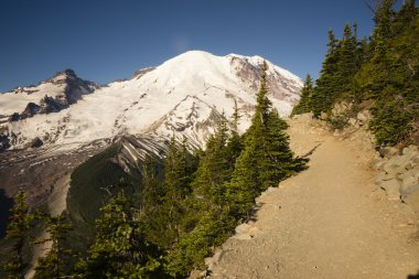 Trail High On Burroughs Mountain Cascade Range Mt. Rainier Background clipart