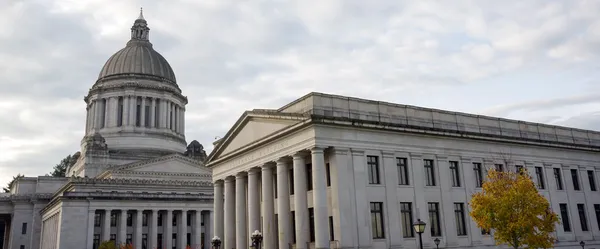 Capitolio Edificio Legislativo Columna de Piedra Frente Olympia Washington — Foto de Stock