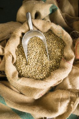 Kepçe çuval bezi çanta tarım bean çiğ kahve çekirdeği toplu