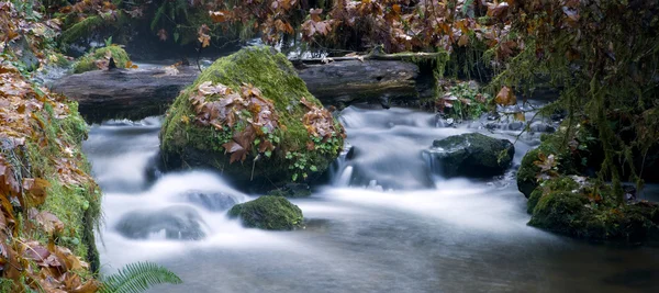 Lange belichtetes Wasser fließt stromabwärts moosbewachsene Felsen — Stockfoto