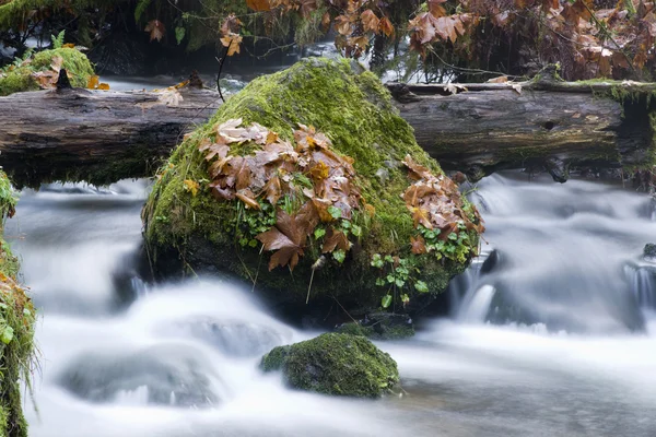 Lange belichtetes Wasser fließt stromabwärts moosbewachsene Felsen — Stockfoto