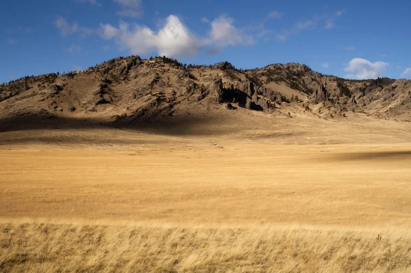 Güzel vadi Kuzey kayalık dağlar büyüyen sarı tahıl otlak — Stok fotoğraf