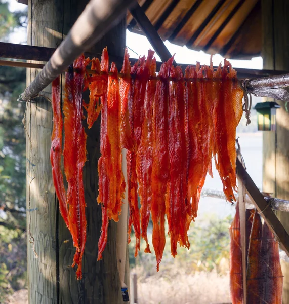 King Salmon Fish Meat Catch Hanging Native American Lodge Drying — Stock Photo, Image