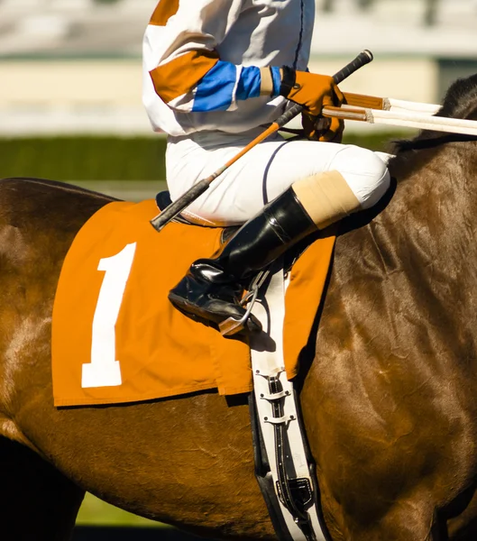 Le cheval numéro un se prépare à entrer dans la porte de départ sur le circuit — Photo