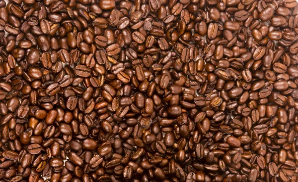 Dunkelbraun geröstete Kaffeesamen Bohnen Nahrungsmittelzutat — Stockfoto