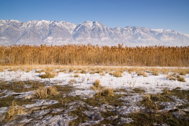 kar kaplı dağların arkasında lakeside Otoban bitki büyüme utah