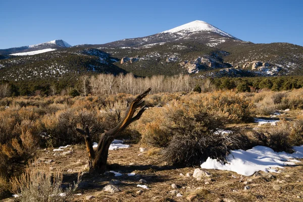 高い山のピーク グレートベースン地域ネバダ州の風景 — ストック写真