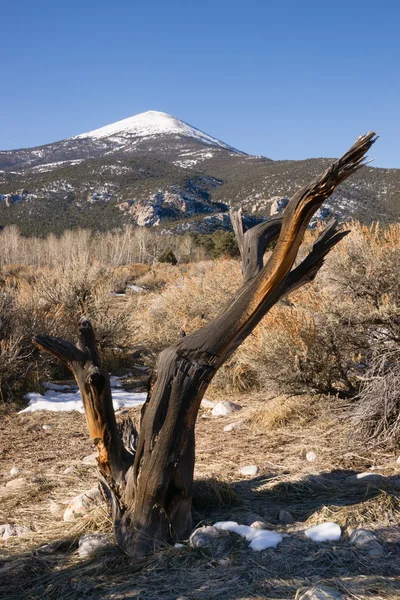 Wysokie góry szczyt Wielkiej Kotliny regionu nevada krajobraz — Zdjęcie stockowe