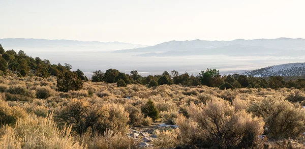 Looking Down Mountain Into Great Basin Nevada Desert Southwest — Stock Photo, Image