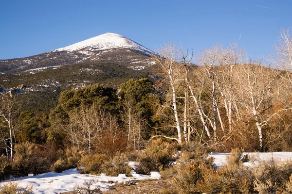 高い山のピーク グレートベースン地域ネバダ州の風景 — ストック写真