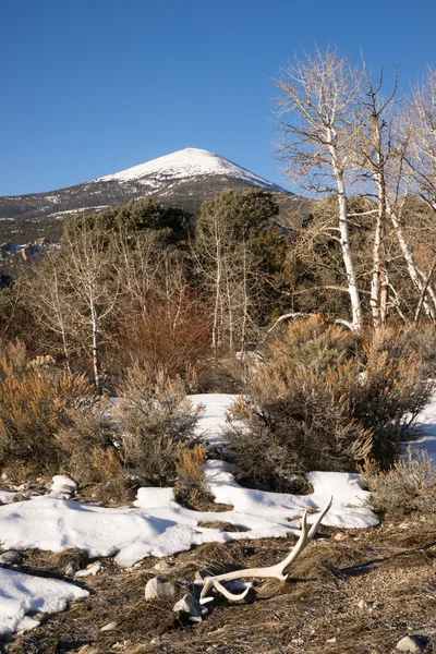 Alta montanha pico grande bacia região Nevada paisagem alce chifres — Fotografia de Stock