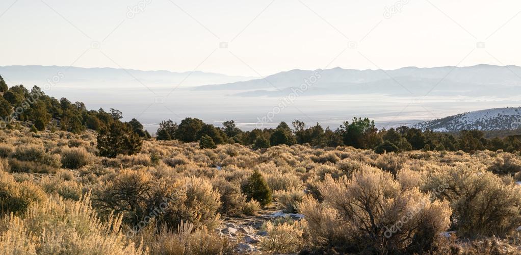 Looking Down Mountain Into Great Basin Nevada Desert Southwest