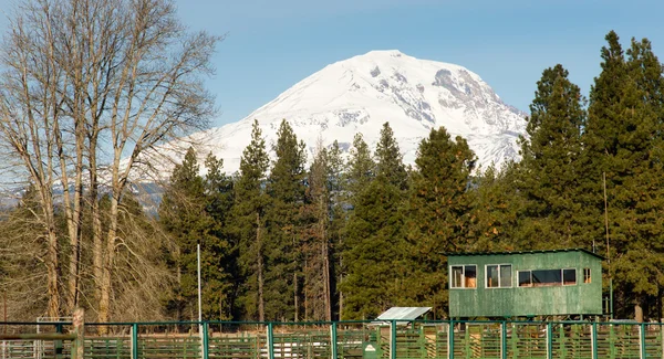 Rodeo Grounds Grandstand Arena Corral Livestock Pen Adams Mountains — Stock Photo, Image