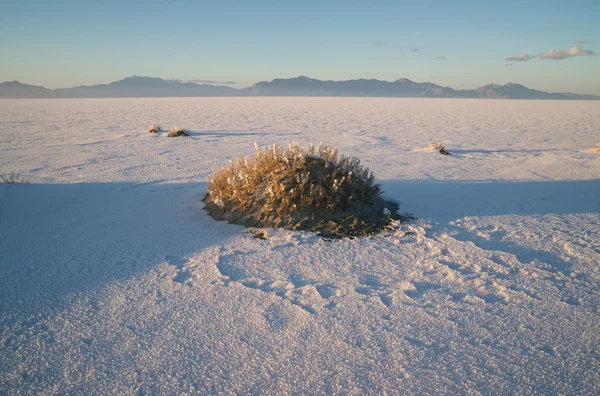 Bonneville Salt Flats Condado de Tooele Utah Pleistocene Lake Sunset — Foto de Stock