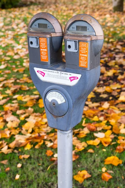 Podwójny parkometru wymaga płatności monety gniazdo jesień Śródmieście — Zdjęcie stockowe