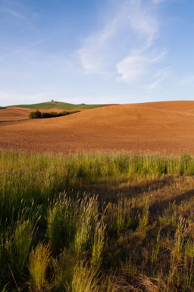 Granja industria fluido campo primavera plantación palouse país rancho — Foto de Stock