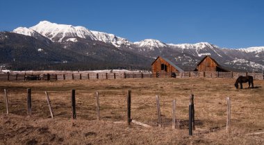 Old Horse Barn Endures Mountain Winter Wallowa Whitman National clipart