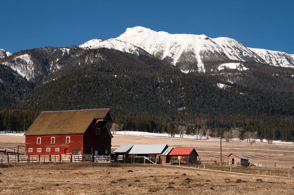 Red Barn resiste montagna inverno Wallowa Whitman National Forest — Foto Stock