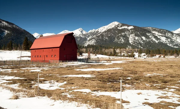 Κόκκινη σιταποθήκη υπομένει βουνό χειμώνα wallowa whitman Εθνικό Δρυμό — Φωτογραφία Αρχείου
