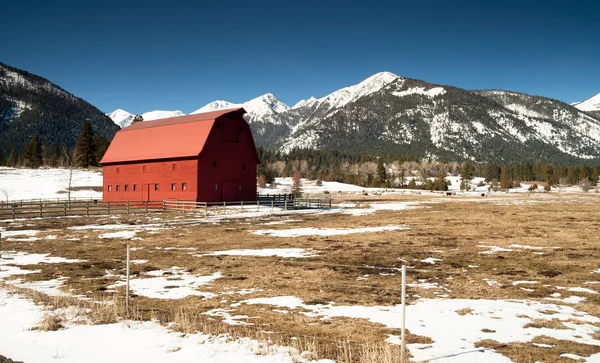 Granero rojo soporta montaña invierno Wallowa Whitman National Forest —  Fotos de Stock