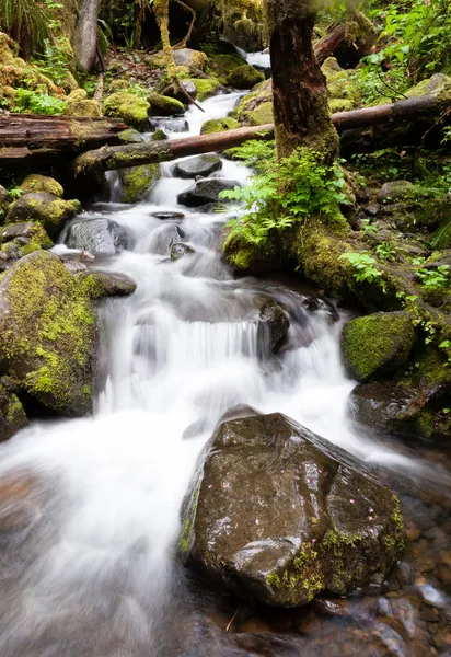 Vodopád ontrail punče spadá columbia river gorge — Stock fotografie