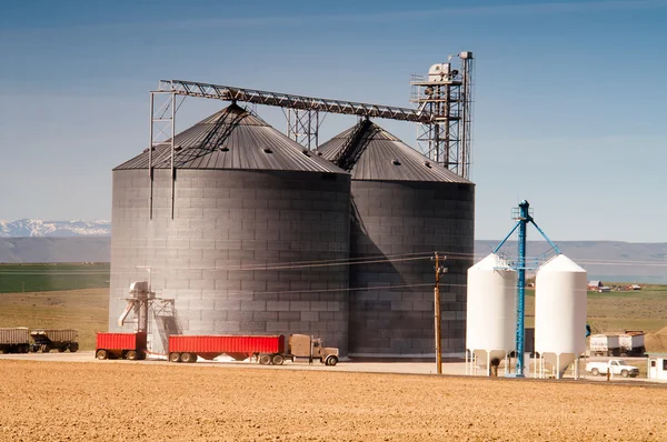 Landwirtschaftliches Silo belädt Sattelschlepper mit landwirtschaftlichem Getreide — Stockfoto