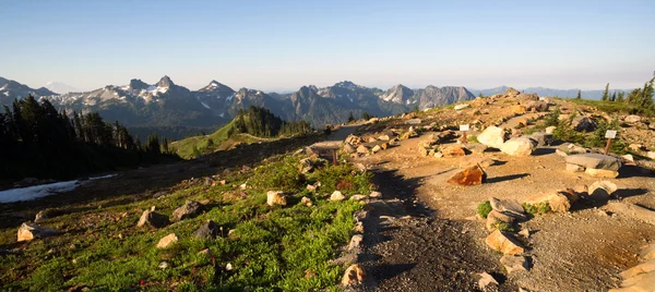 Paradise Mount Rainier Adams catena montuosa Tatoosh Washington — Foto Stock