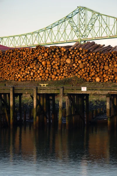 Log stapel columbia rivier pier hout exporteren houtindustrie — Stockfoto