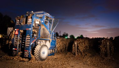 gece zaman tarım meyve hasat hasat makinesi yiyecek üretmek üzüm