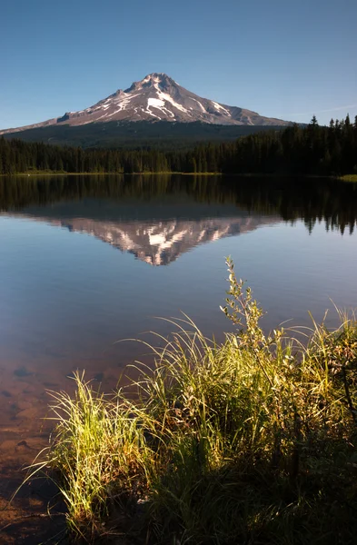 Klidné průzračné vodě trillium jezero mount hood oregon státní — Stock fotografie