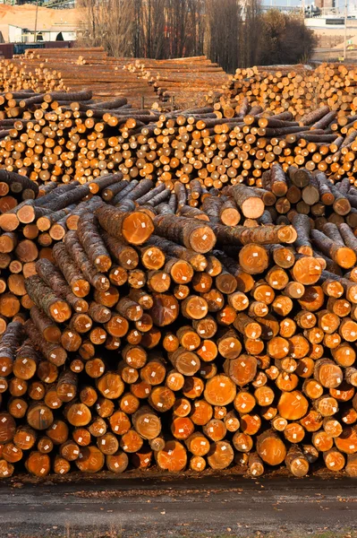 Günlük ölçülen ağaç gövdelerinin kereste fabrikası kesim ahşap tur sona erer. — Stok fotoğraf