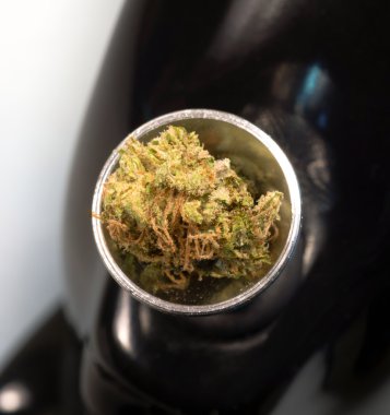 Nargile yeşil tomurcukları esrar bitki çiçek cannibis doğal tıp