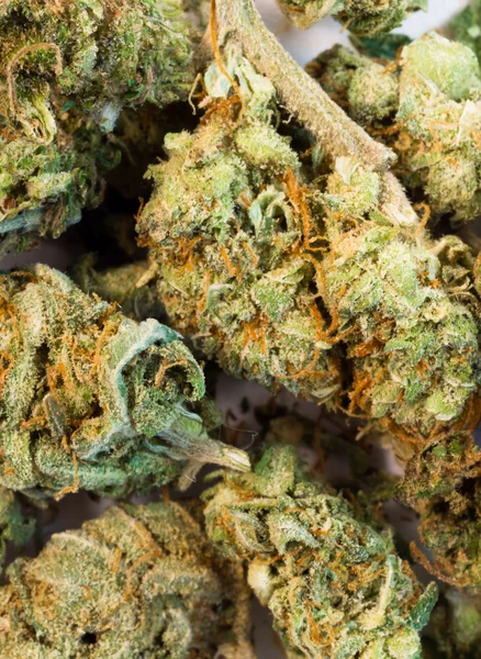 Broken Green Buds Marihuana Flores de plantas Cannabis Medicina Natural — Foto de Stock