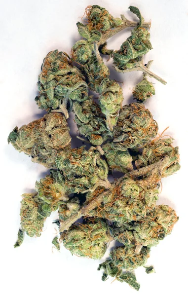 Broken Green Buds Marijuana Flori de plante Canibis Medicina naturala — Fotografie, imagine de stoc