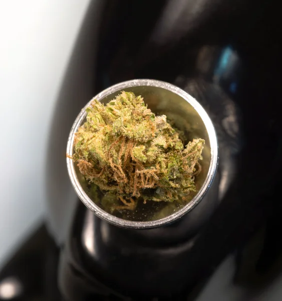 Țeavă de apă Muguri verzi Marijuana Flori de plante Canibis Medicina naturala — Fotografie, imagine de stoc