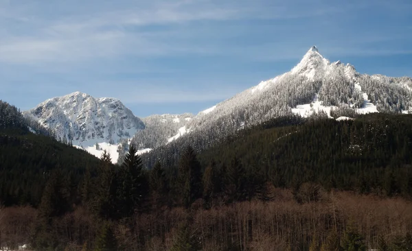 Spetsiga ridge topp cascade bergskedjan norr kaskader washington — Stockfoto