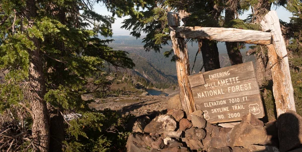 Panorama trail willamette národní les nadmořská výška hory — Stock fotografie