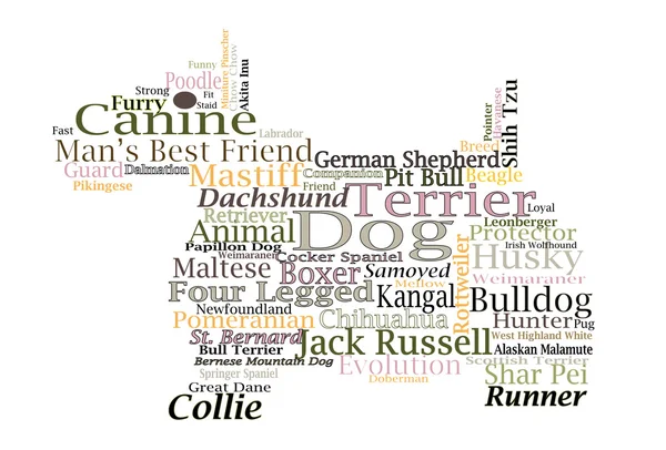 Dog breed Canine Word Cloud Typography Illustration Concepts Ideas — Stock Photo, Image