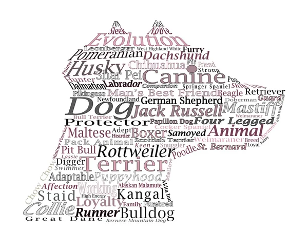 Dog breed Canine Word Cloud Typography Illustration Concepts Ideas — Stock Photo, Image