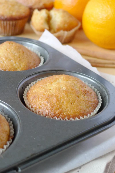 Oranje muffins — Stockfoto