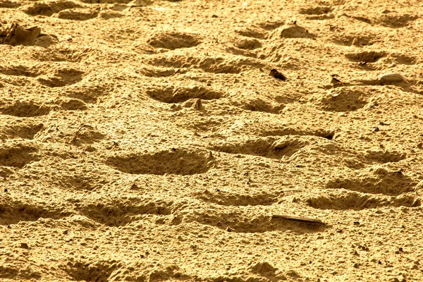 모래에 있는 발자국 — 스톡 사진