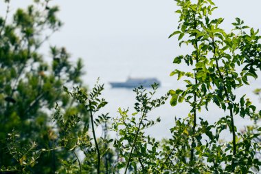 Uzaklarda denizde gemi